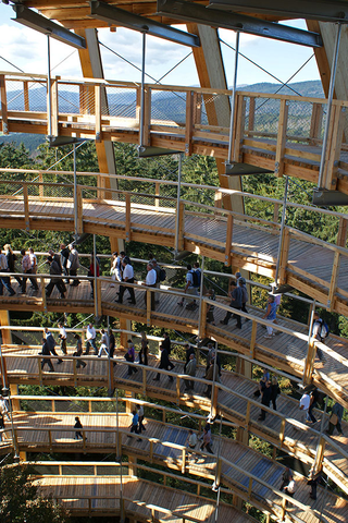 Illustration for article titled Germany's new 18-story Tree Top Walk is shaped like a giant egg